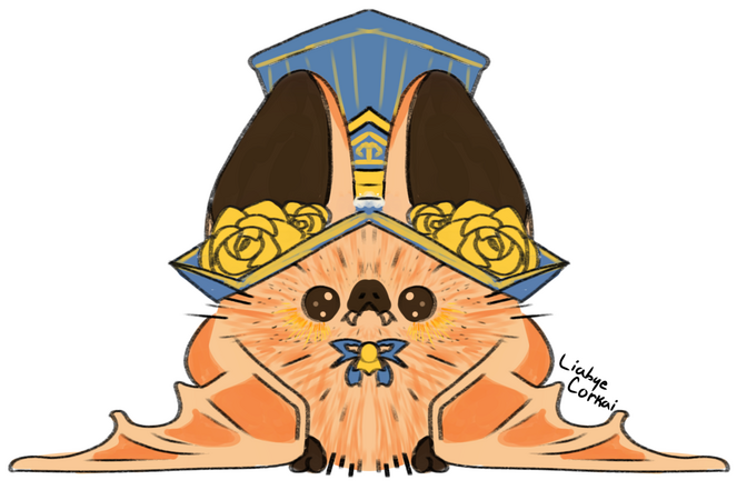 Pet Designs (Ask for quote)